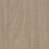 Rovere-Bruges-tranche-T8